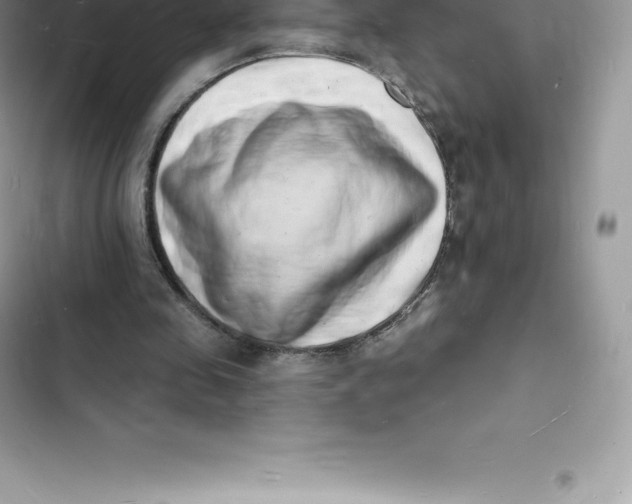 X0000103300341200809191859