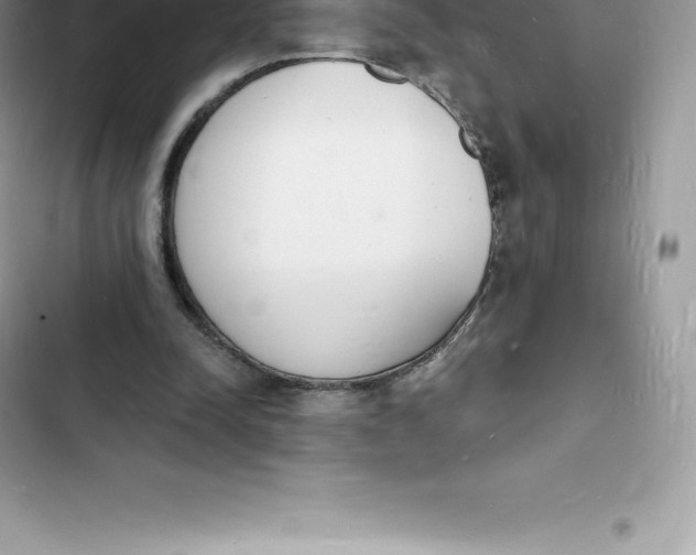 X0000103300342200809191859