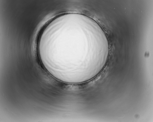 X0000103300343200809191859