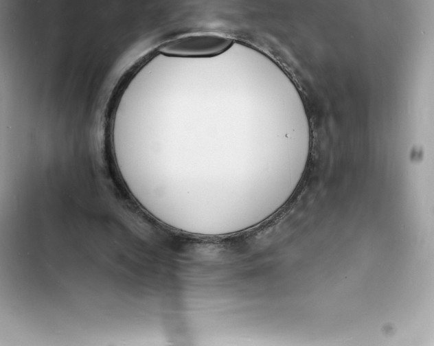 X0000103300344200809191859