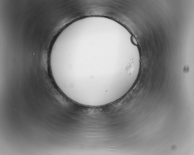 X0000103300345200809191859