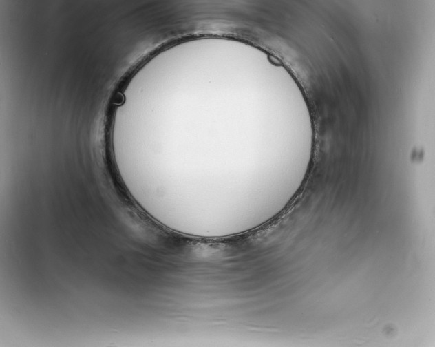 X0000103300346200809191859