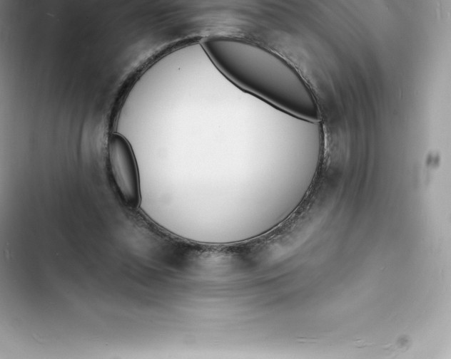 X0000103300348200809191900