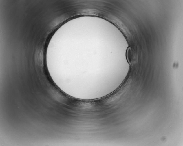 X0000103300349200809191900