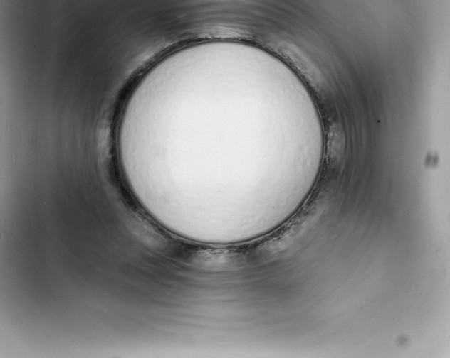 X0000103300351200809191900