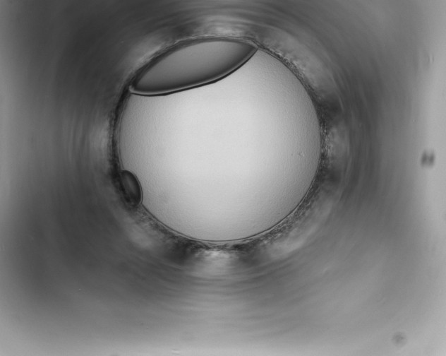 X0000103300352200809191900