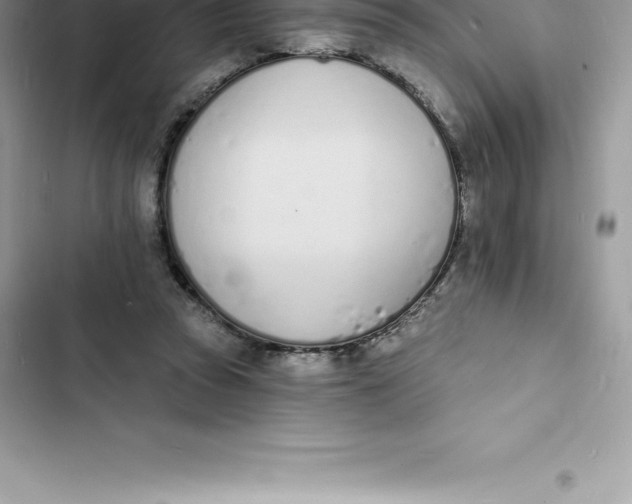 X0000103300353200809191900