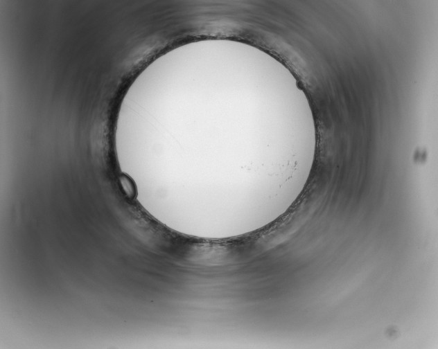 X0000103300354200809191900