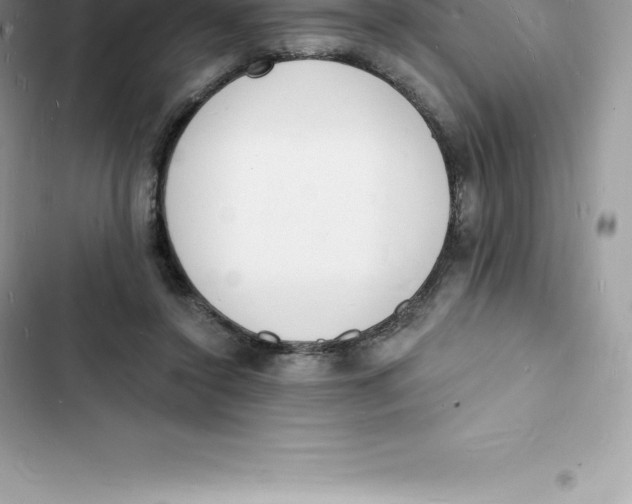 X0000103300356200809191900