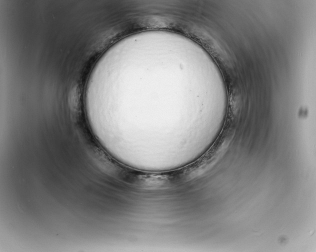 X0000103300359200809191900