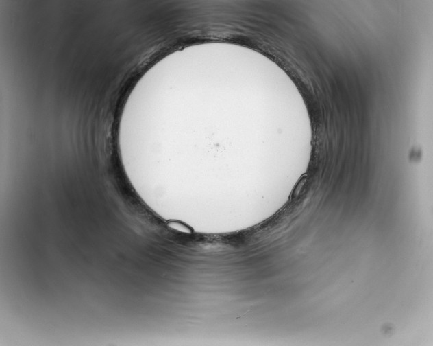 X0000103300360200809191900