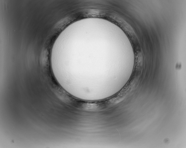 X0000103300361200809191900