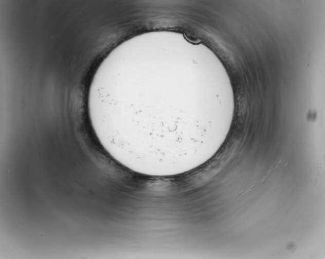 X0000103300362200809191900