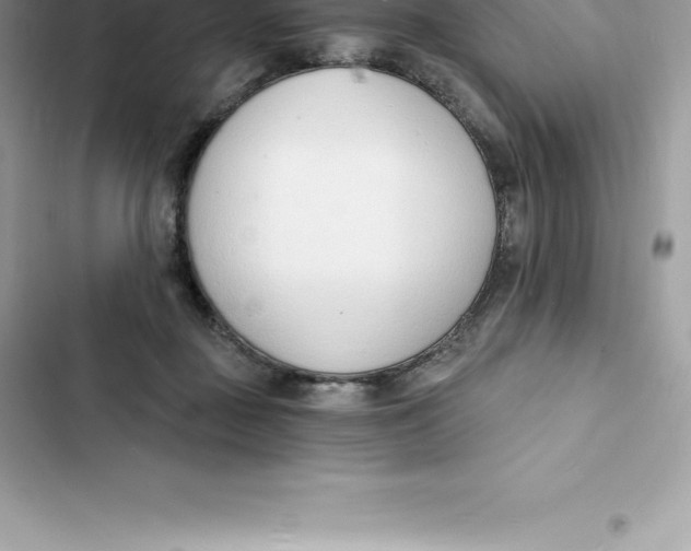 X0000103300363200809191900