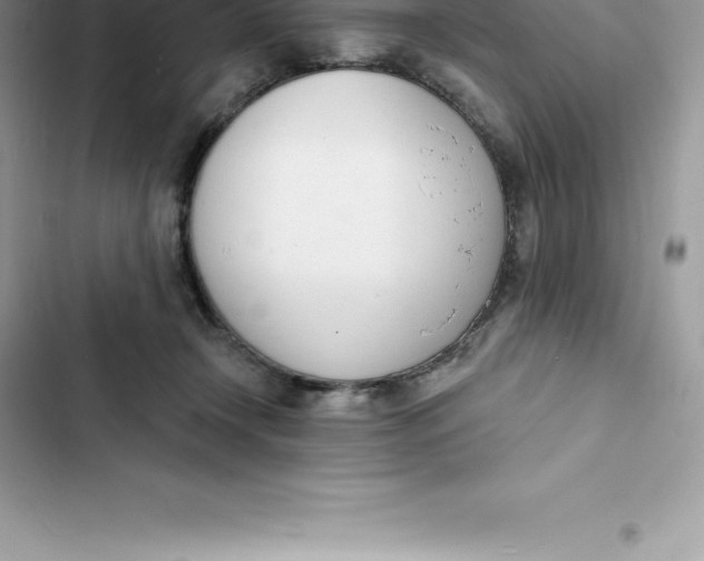 X0000103300366200809191900