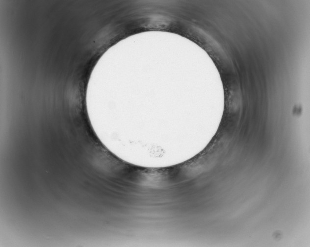 X0000103300370200809191900