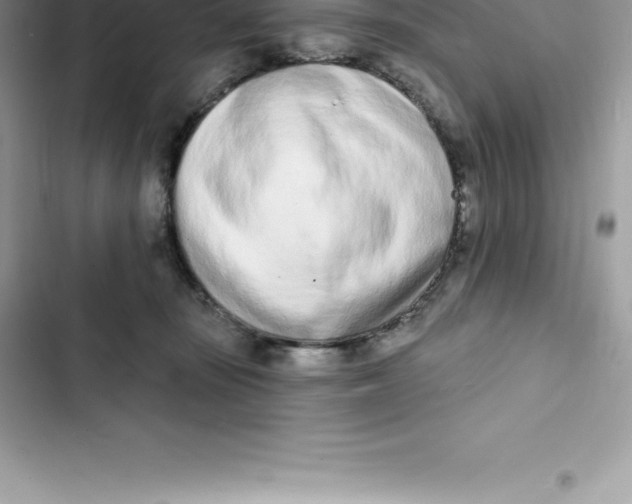 X0000103300371200809191900