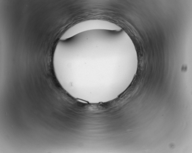 X0000103300372200809191900