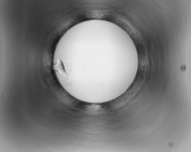 X0000103300374200809191900