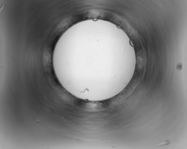 X0000103300375200809191900