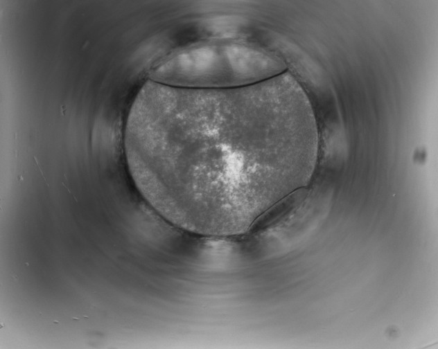 X0000103300376200809191900