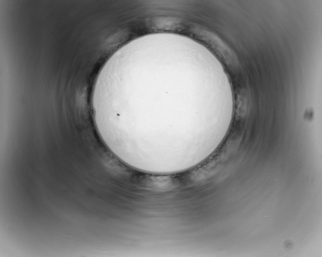 X0000103300377200809191900