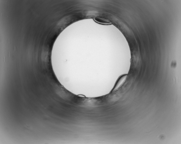 X0000103300379200809191900