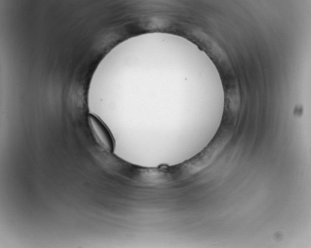 X0000103300380200809191900