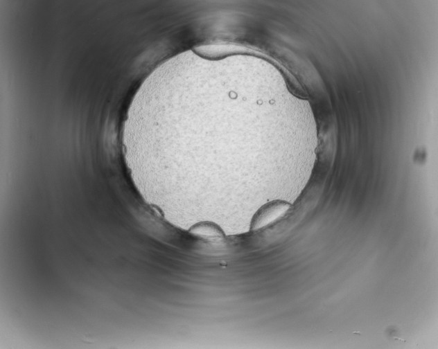 X0000103300381200809191900