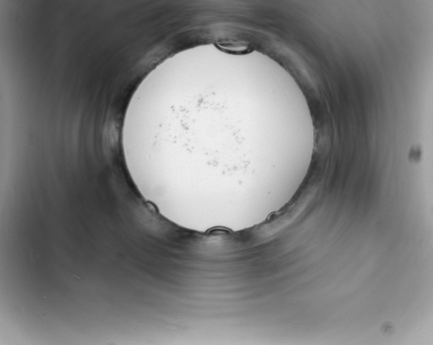 X0000103300382200809191900