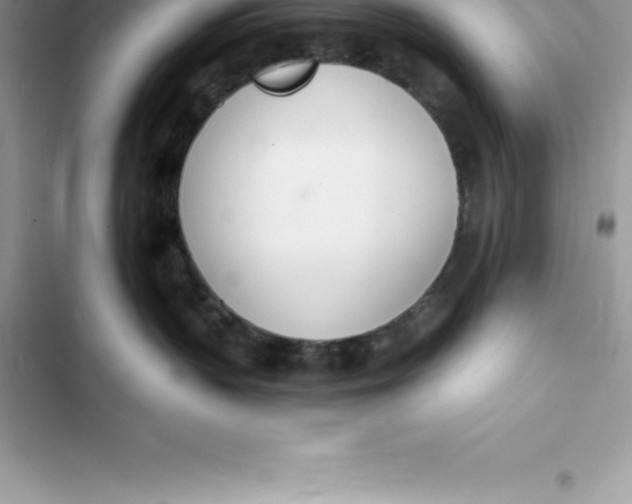 X0000103300383200809191900