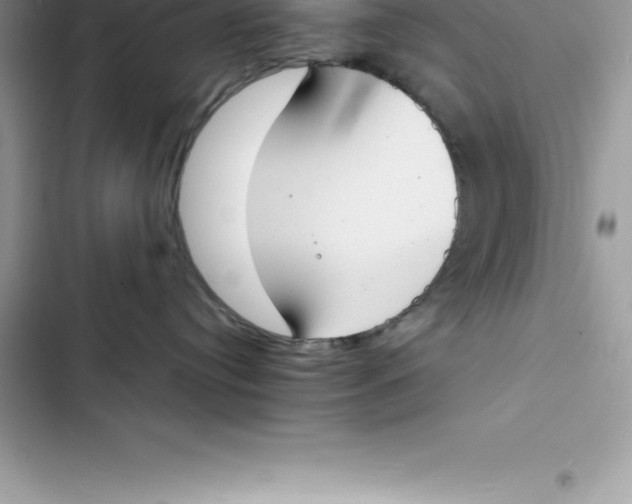 X0000103300384200809191900