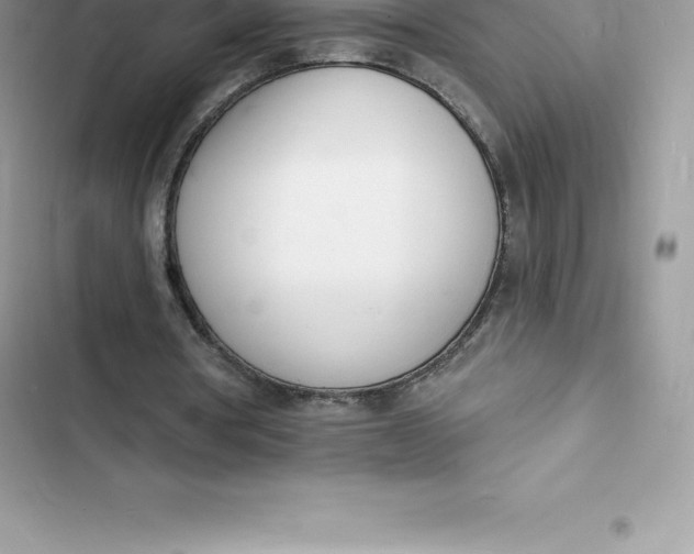 X0000103300386200809191859