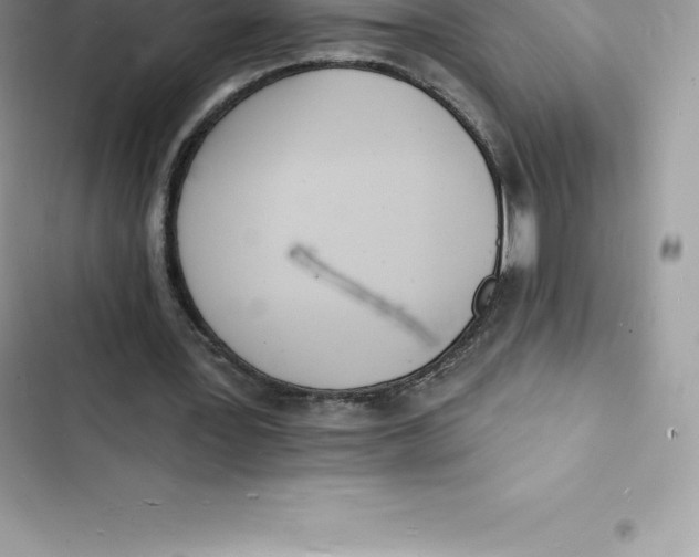 X0000103300387200809191859