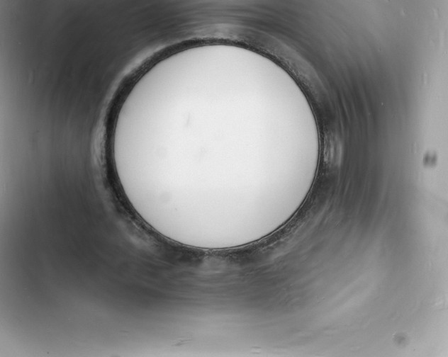 X0000103300388200809191859