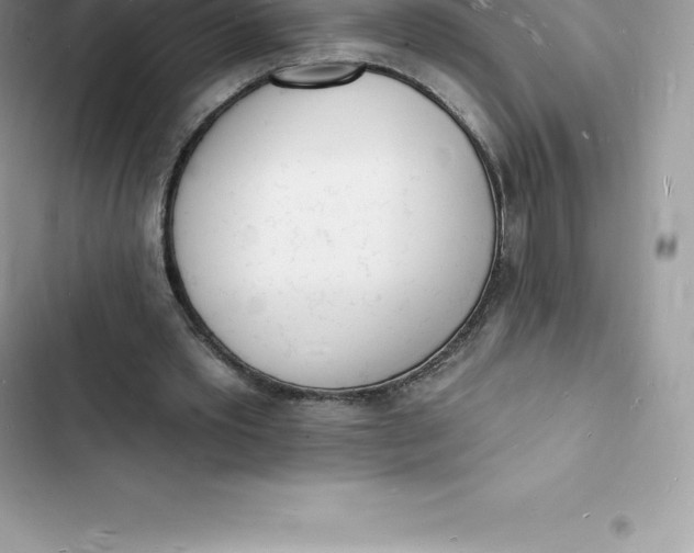 X0000103300389200809191859