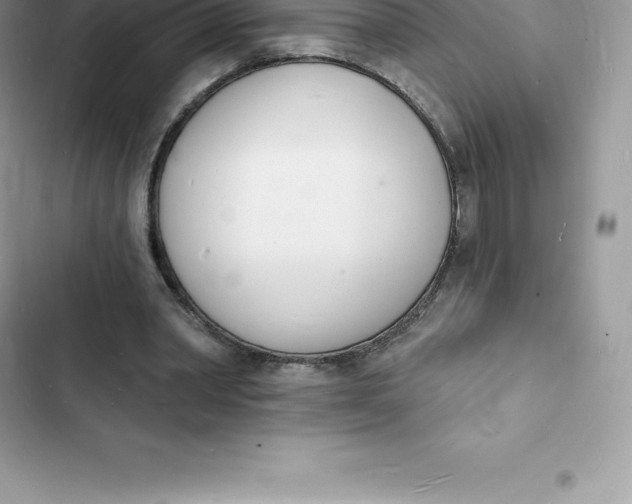 X0000103300390200809191859