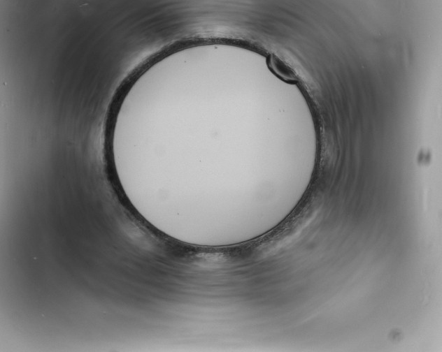 X0000103300391200809191859