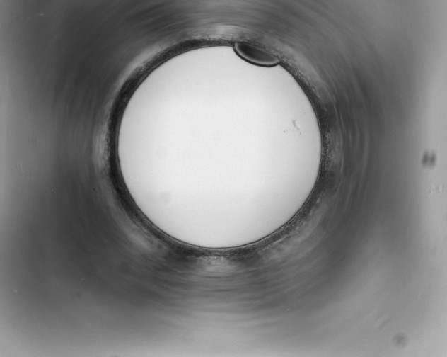 X0000103300392200809191859