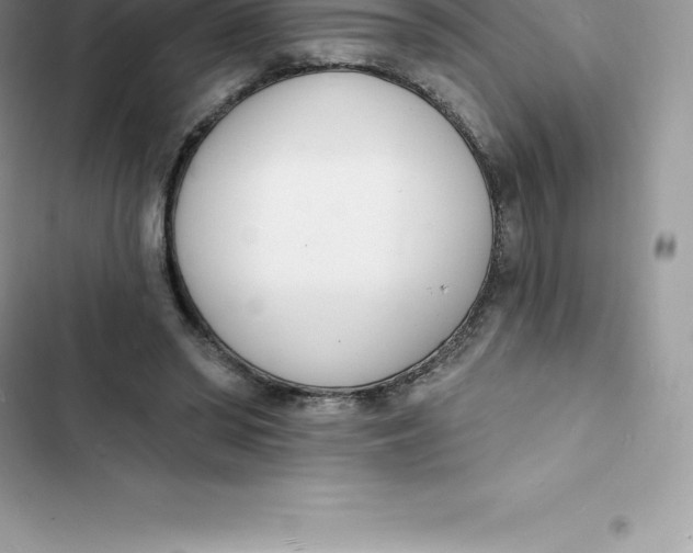 X0000103300398200809191859