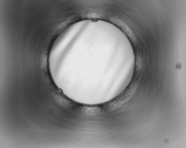 X0000103300401200809191859