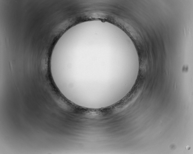 X0000103300402200809191859