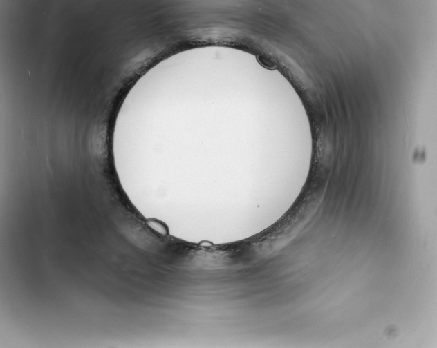 X0000103300403200809191859