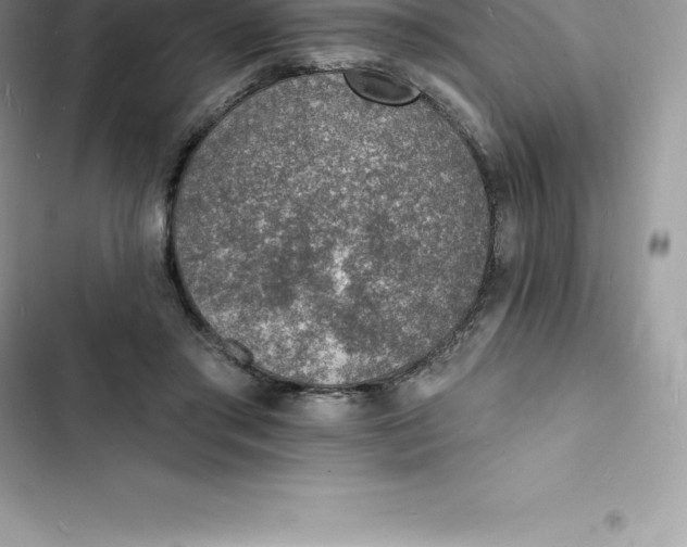 X0000103300405200809191859