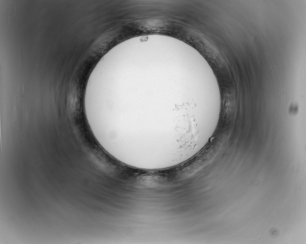 X0000103300408200809191859