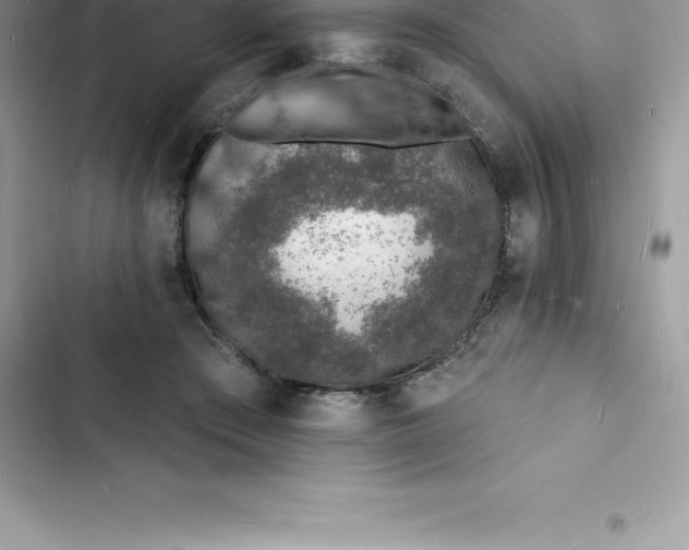 X0000103300409200809191859