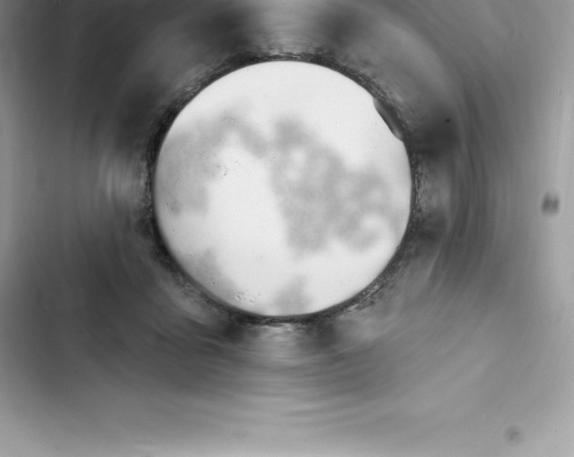 X0000103300411200809191859