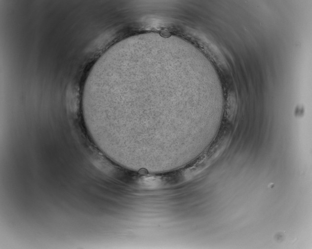 X0000103300413200809191859