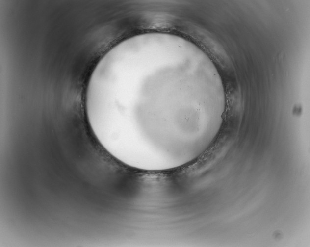 X0000103300415200809191859