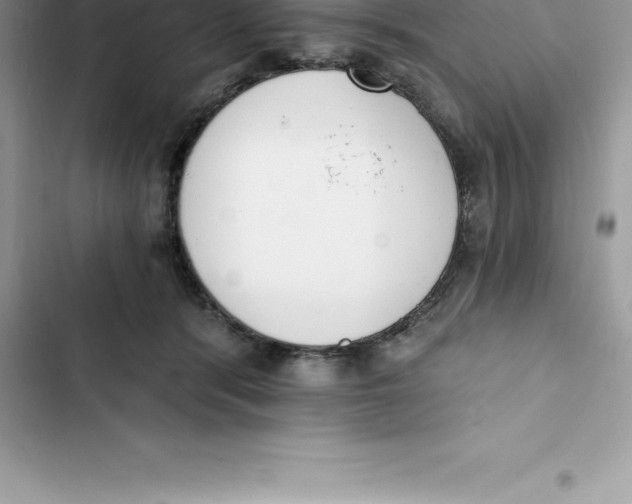 X0000103300416200809191859